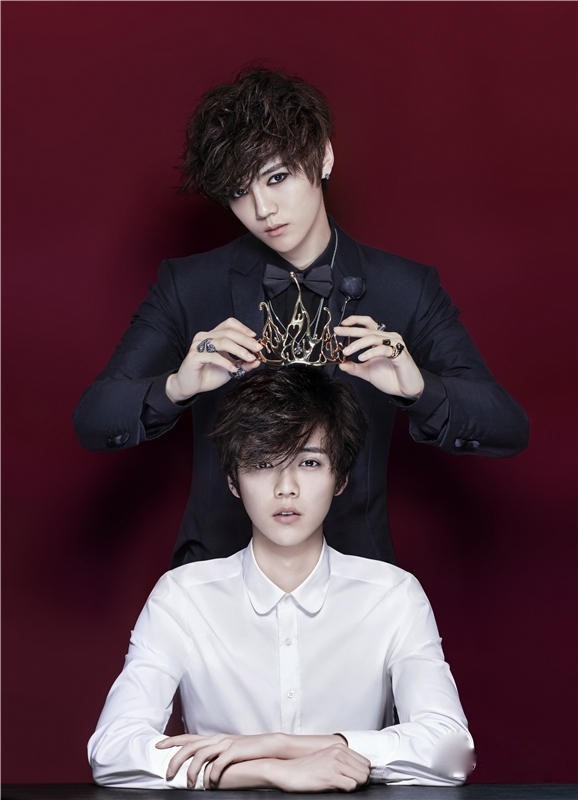 鹿晗的粉丝真优秀:芦苇姐姐的学历包括清华北大,研究生博士?