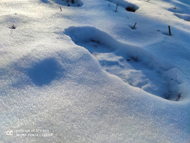 1亿像素下的雪景,手机拍雪景照到底表现如何,一起看下