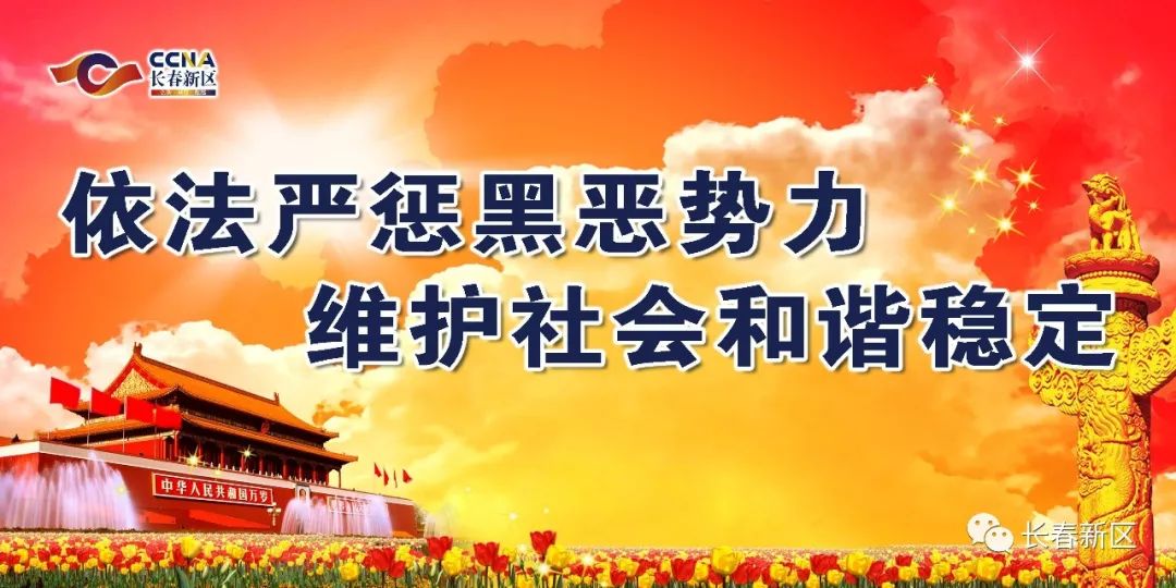 依法严惩黑恶势力 维护社会和谐稳定
