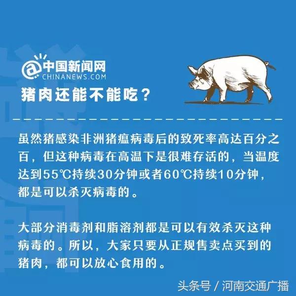 中国非洲猪瘟最新消息图片