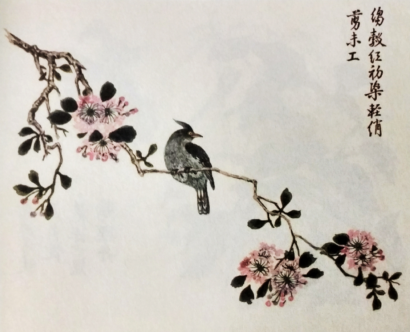 芥子园花鸟画100幅图片