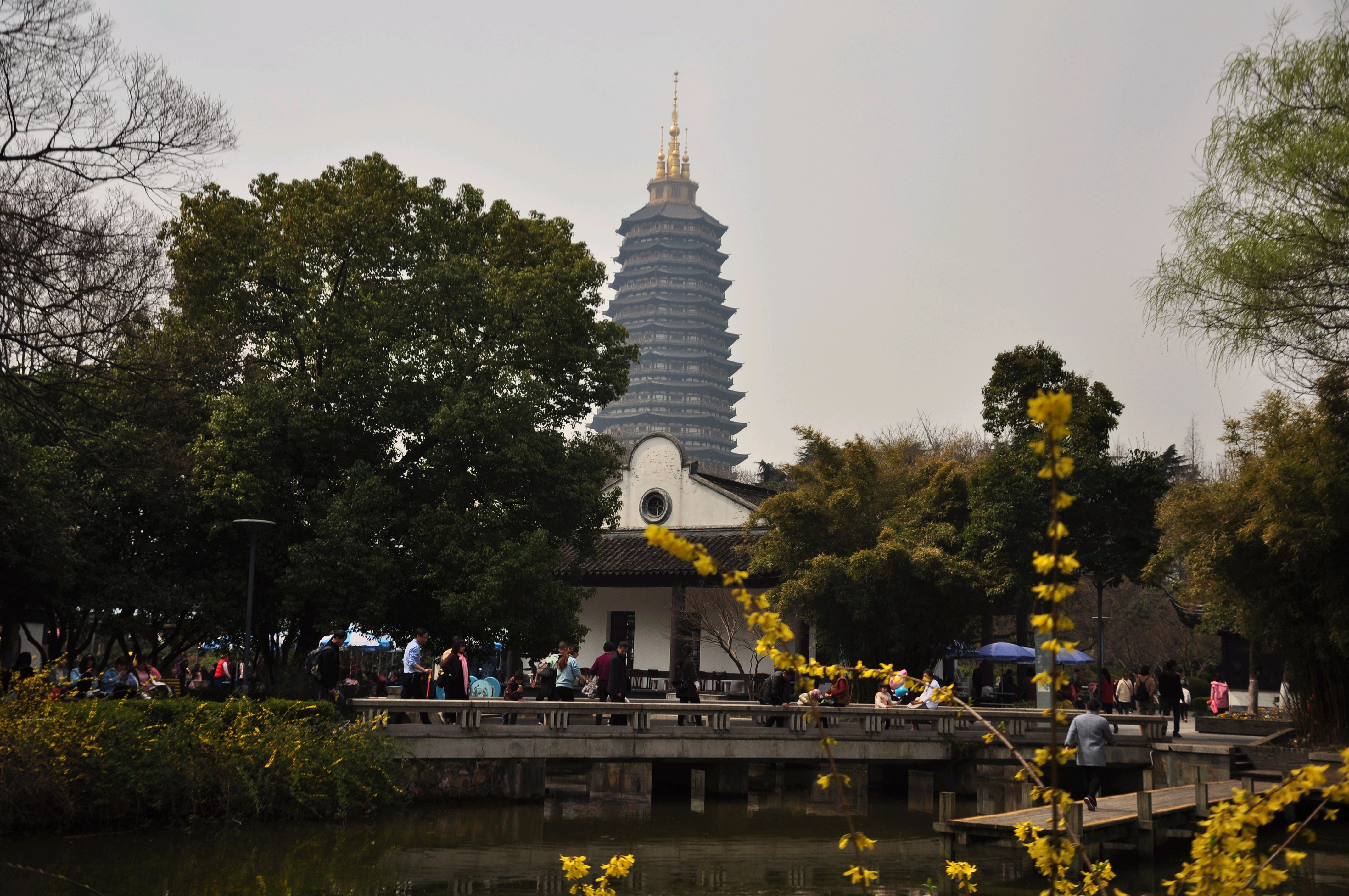 春天里走一走-天宁寺
