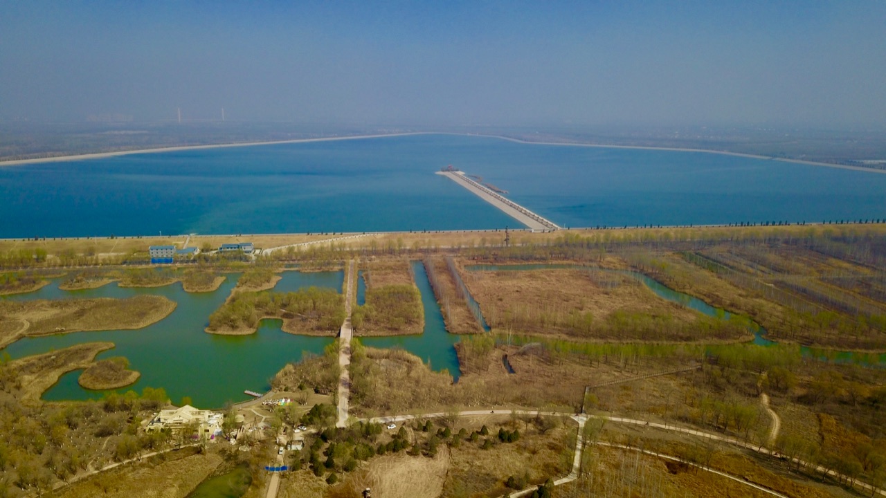 航拍济西国家湿地公园!春意盎然景迷人