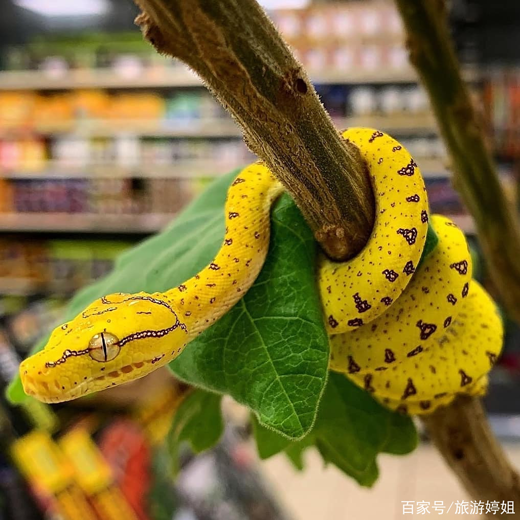 一身鸡皮疙瘩瞬间起来(一身鸡皮疙瘩瞬间起来怎么回事)