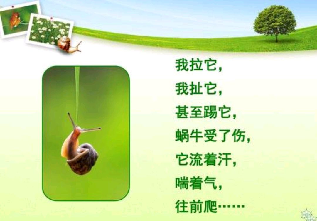 乐享我牵蜗牛去散步!
