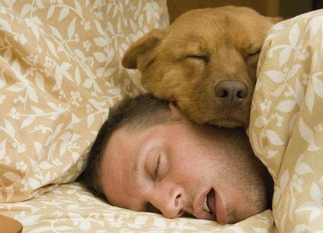 男人睡觉有"2个一","2个无"的现象,你的肾保养得还算
