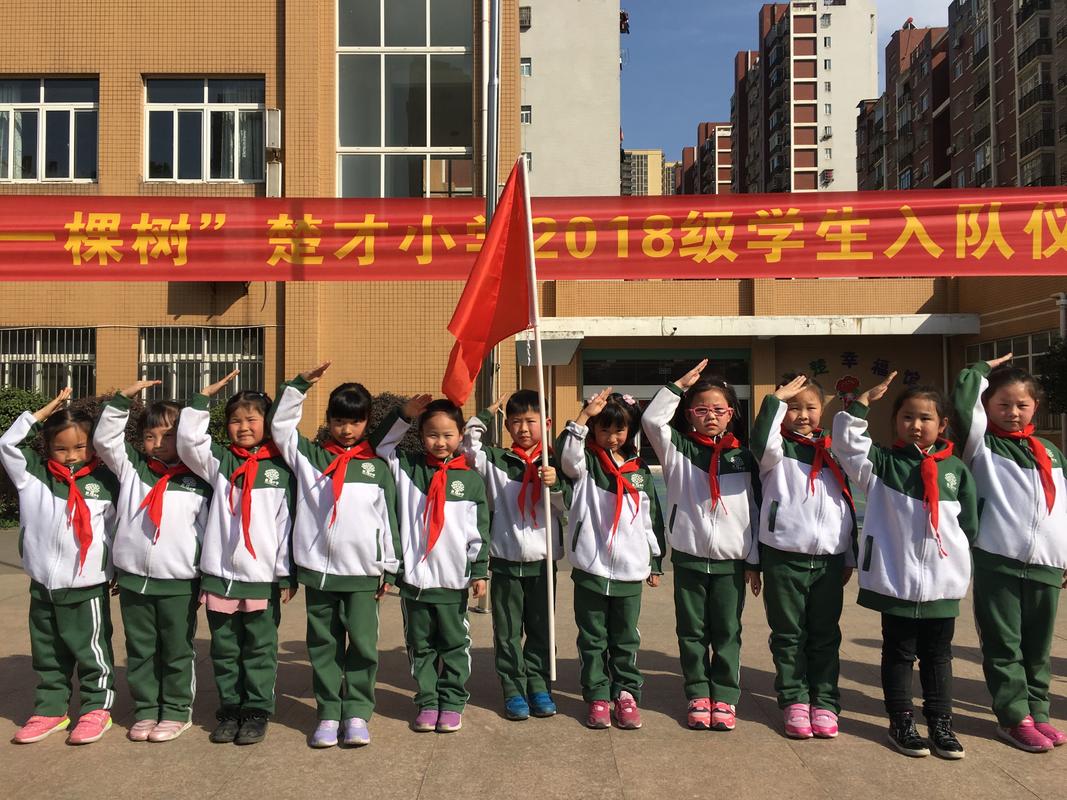 楚才小学"小树苗"茁壮成长