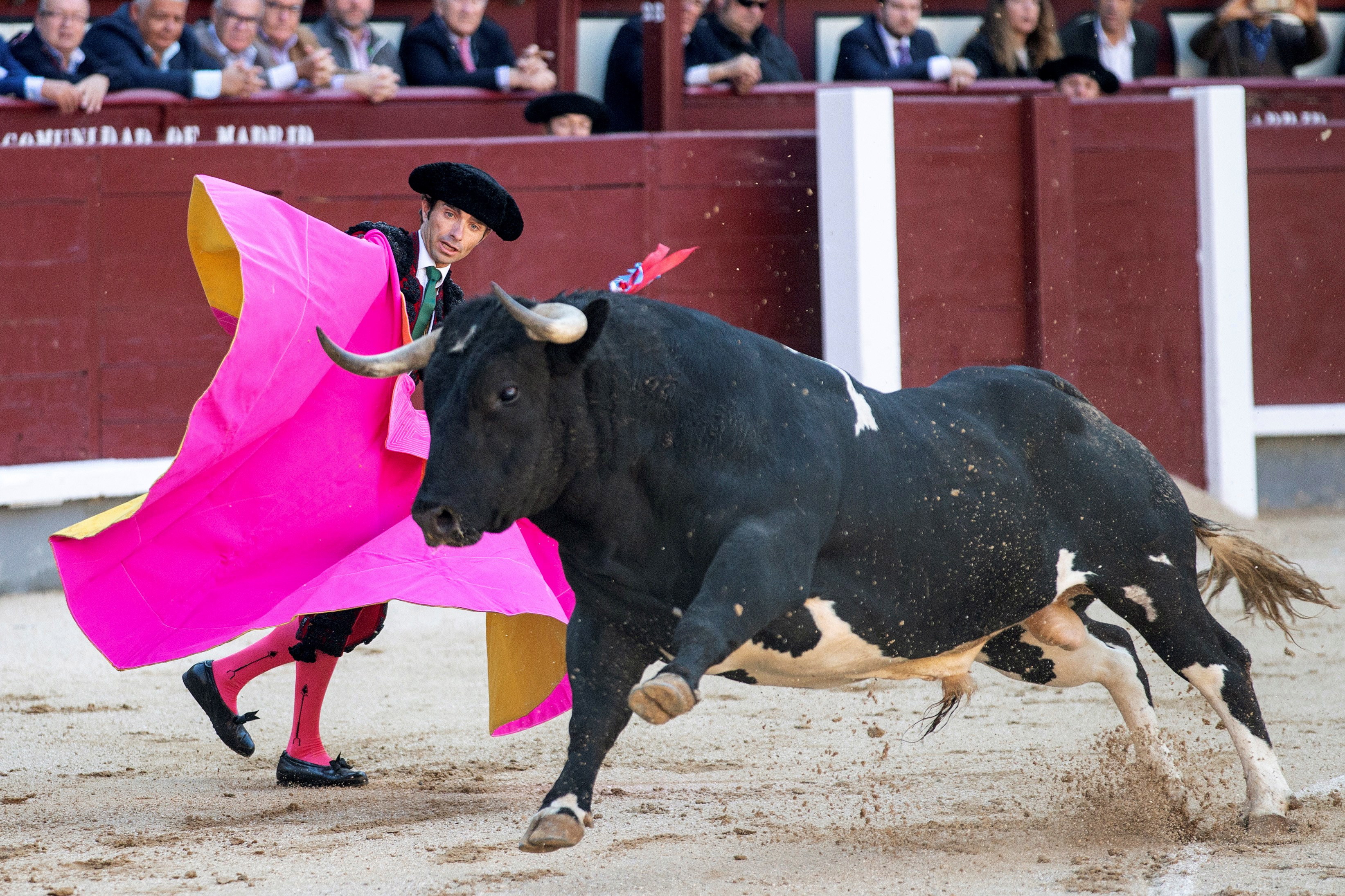 马德里圣伊西德罗斗牛季(5)