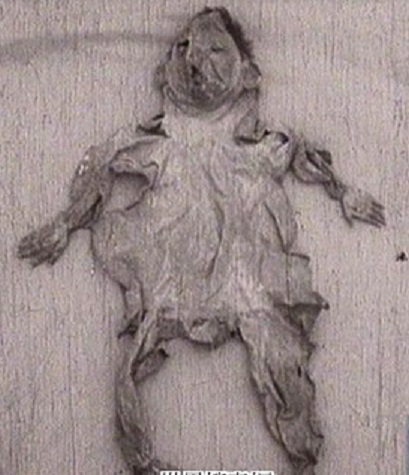 现在贪官被判刑很幸福 朱元璋:贪5万杀头制人体标本摆继任者桌上