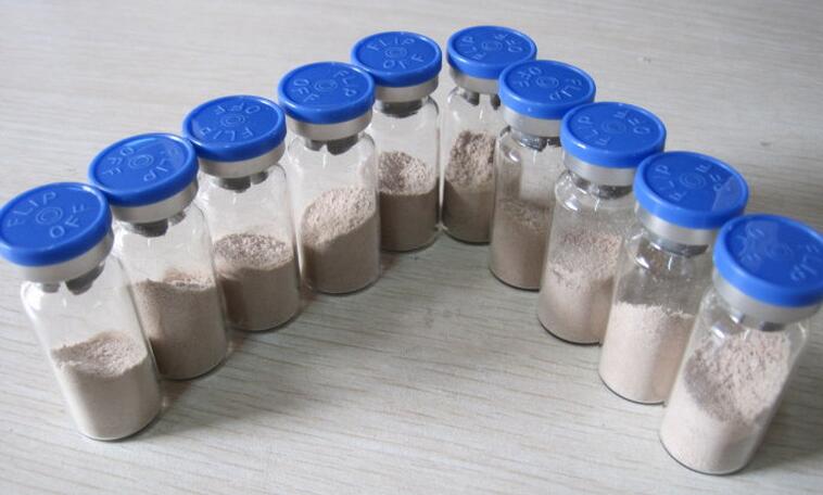 鹿茸冻干机与烘干片对比,鹿茸片冻干粉作用