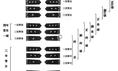 一级警督级别图片