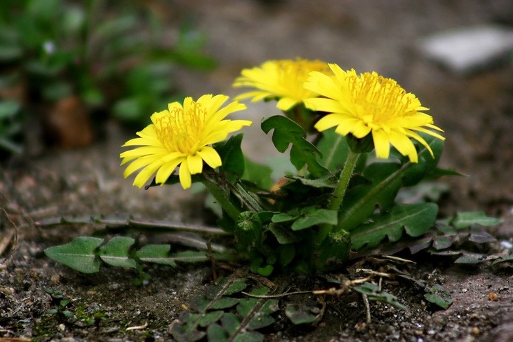 长期吸烟的人,身体出现4个"变化",是肺部发出的"求救信号"