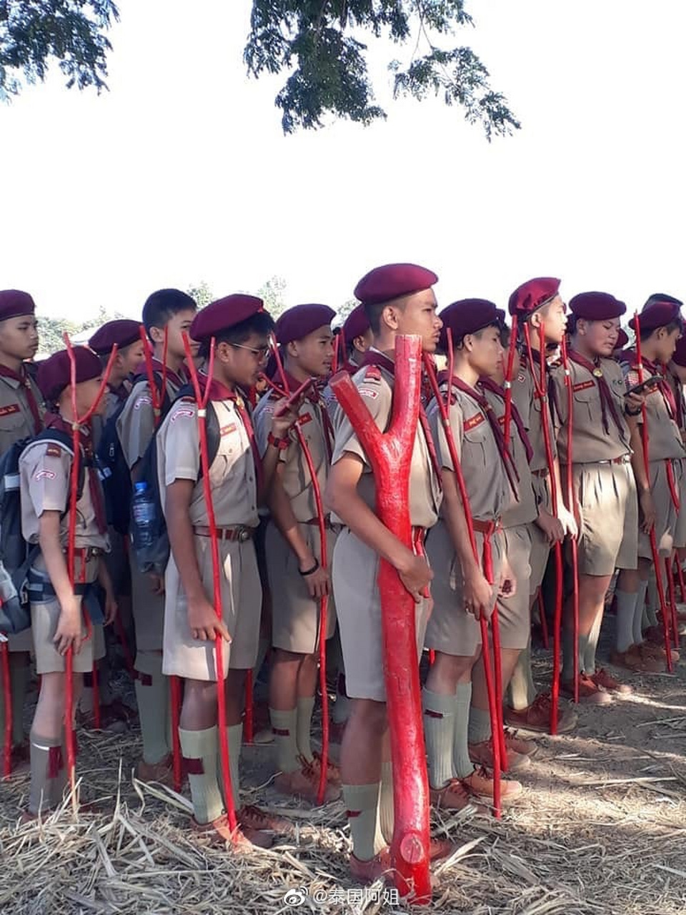 泰国小盆友都会有童子军课程,会进行野外生存之类的课程.