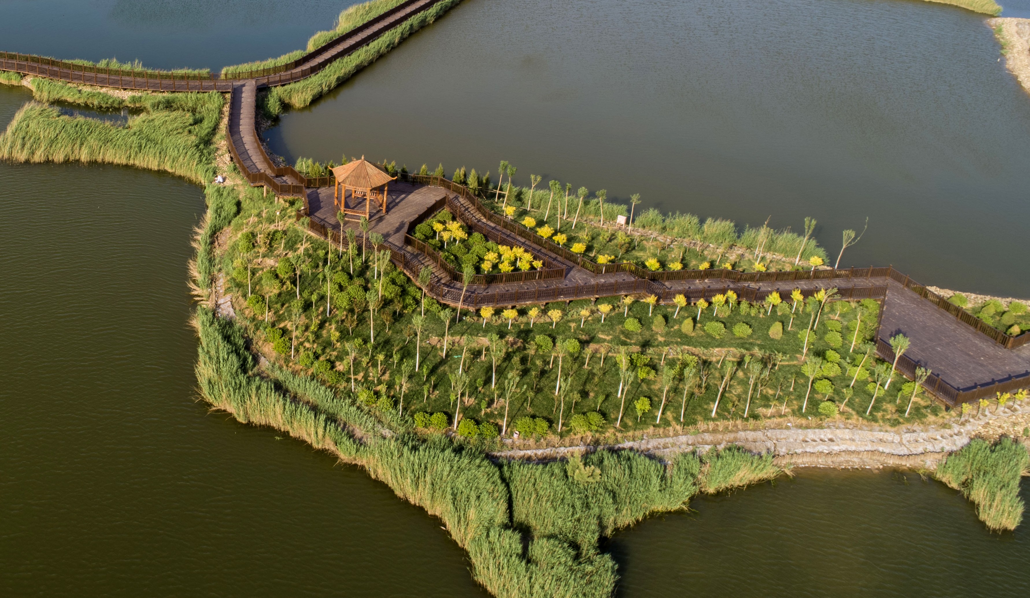 "引湿地入园"打造节约型生态城市    河北省黄骅市地坤湖公园(6月6日