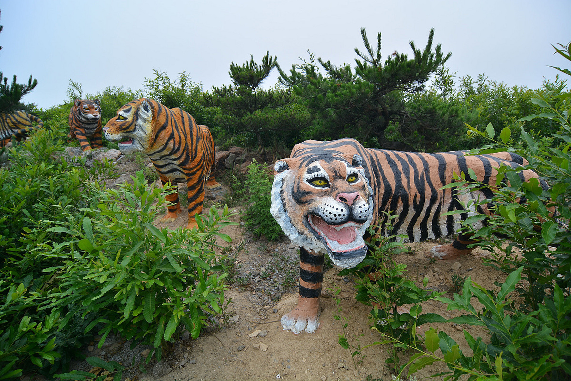 保定,河北的瑰宝!天生桥瀑布群壮美无比,保定市动物园乐趣满点.