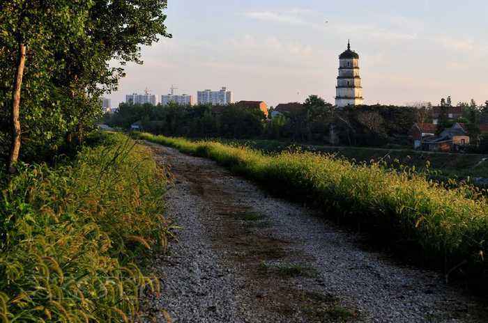 应城黄滩镇项目建设如虎添翼 经济发展质效并驱