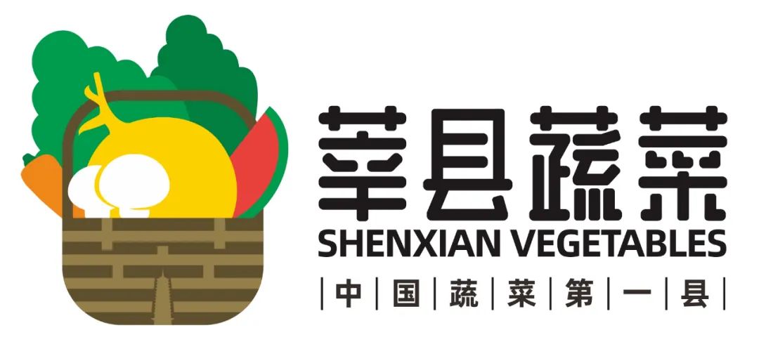 蔬菜- 优质问答专区