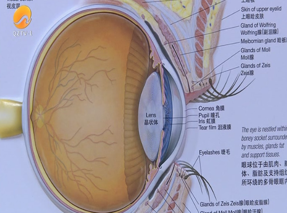 角膜色膜环图片图片