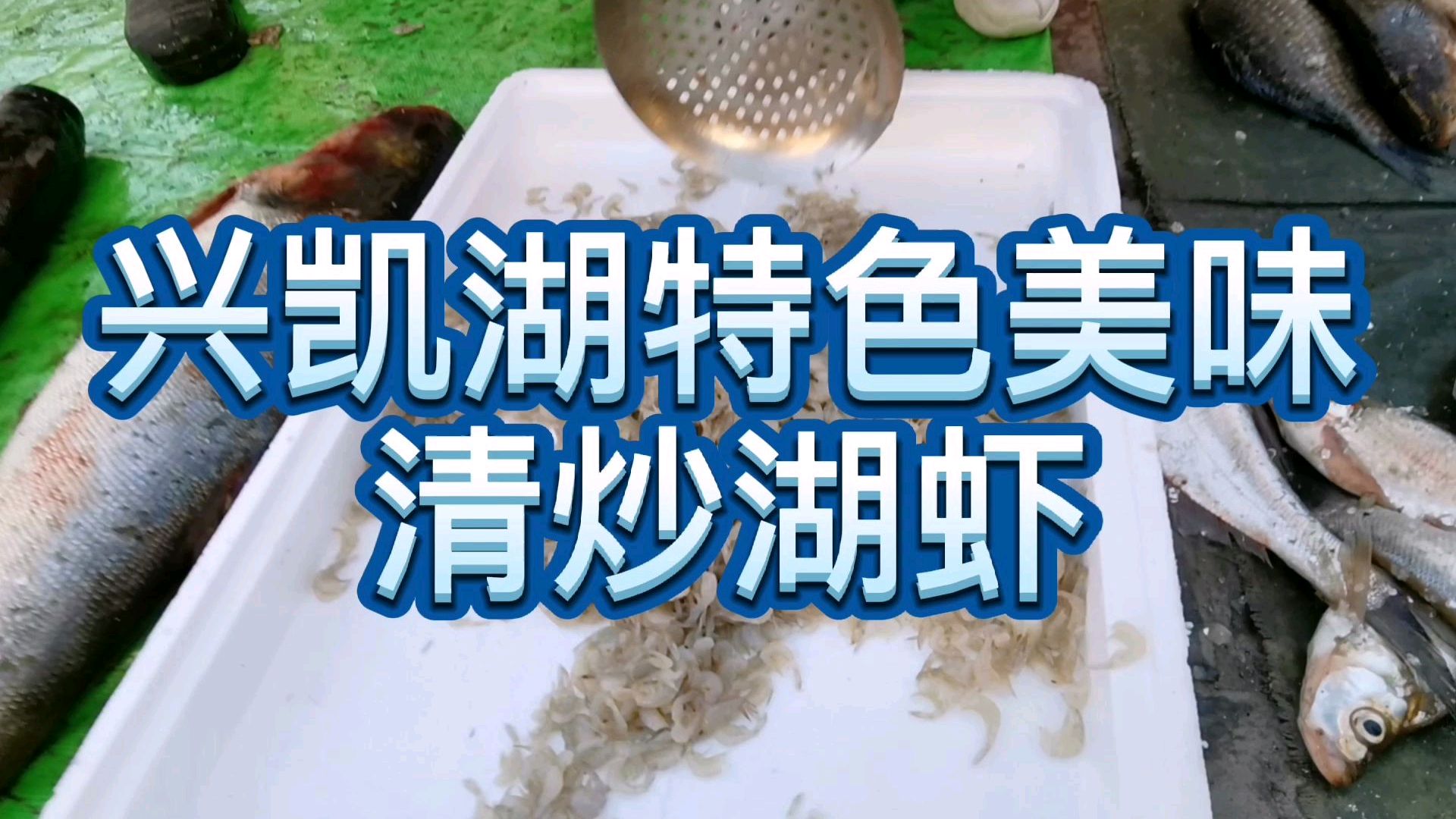 花20元钱做一道兴凯湖特色美味,清炒湖虾,媳妇说太好吃了!