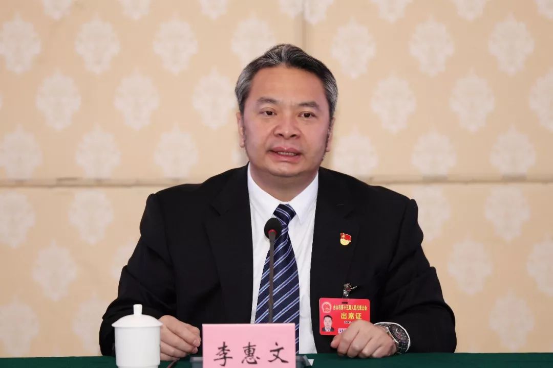 李惠文,谢少谋参加人大代表团分组讨论