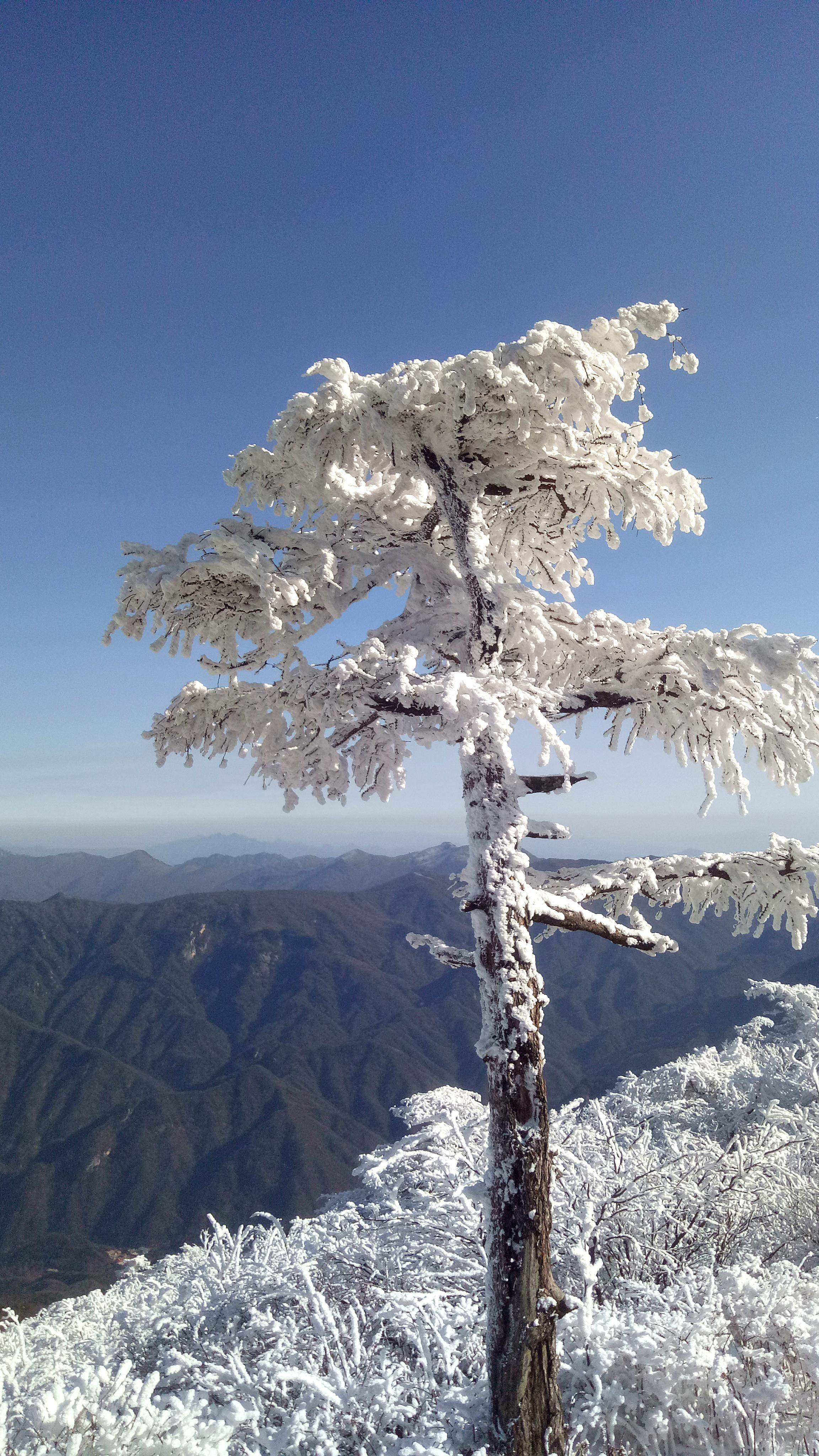 光头山顶的冰雪世界,领略神奇的冰挂雾凇