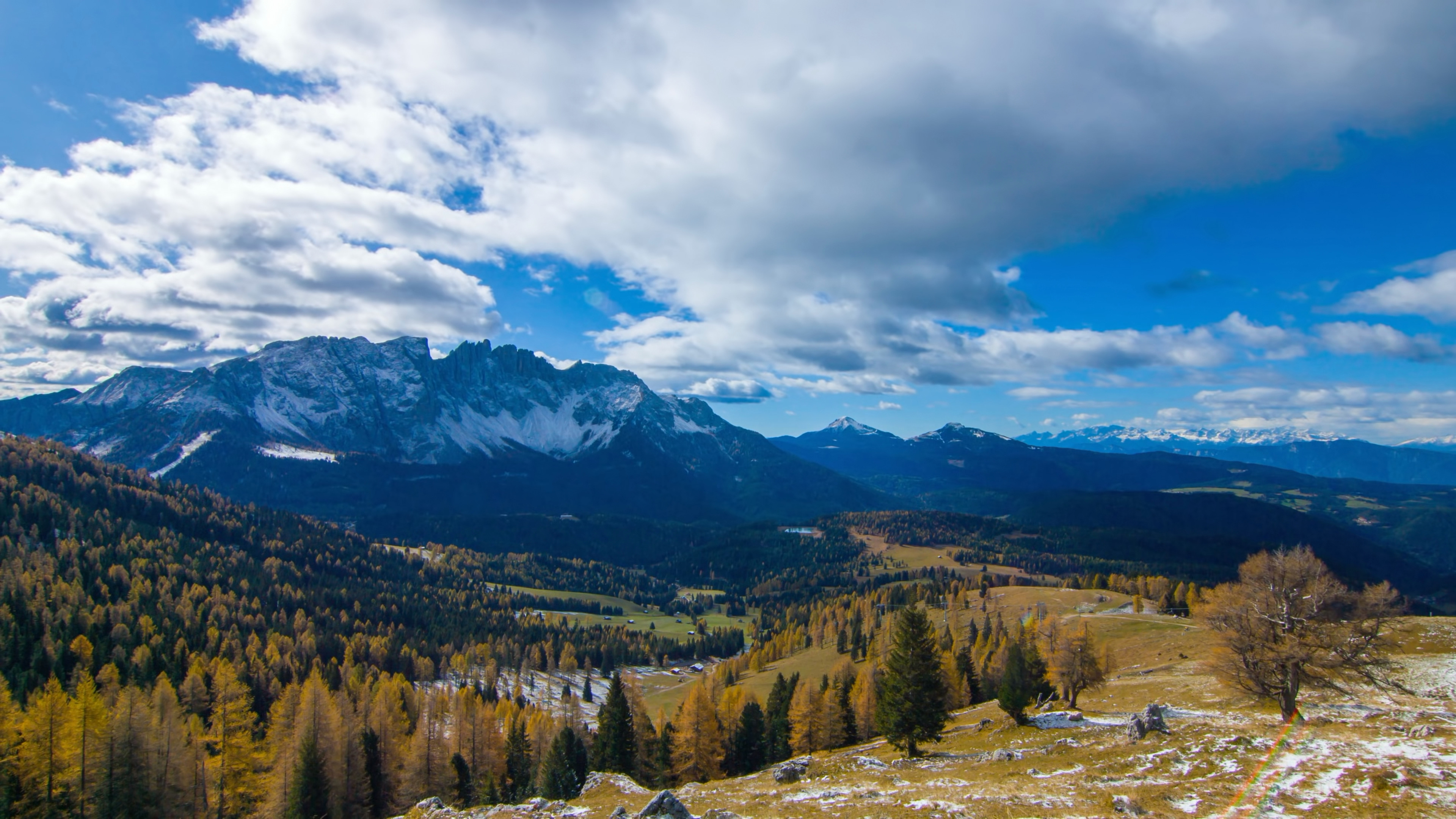 茂盛的树林 转载自百家号作者:看风景看图集