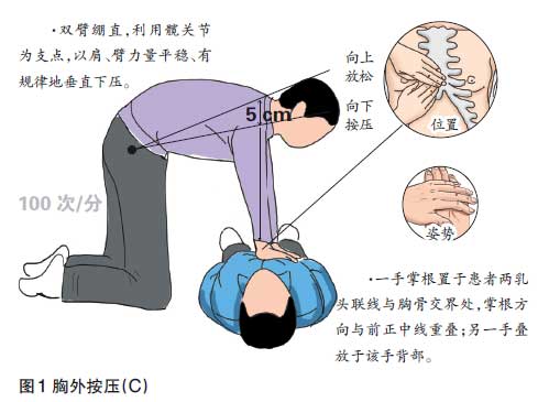 cn;; 032010美国心脏协会心肺复苏及心血管急救指南 官方简体中文版