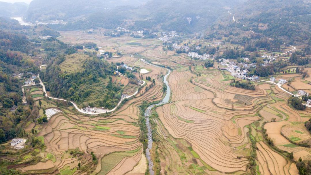 凤冈县蜂岩镇让"空壳村"变"实业村"助推脱贫攻坚