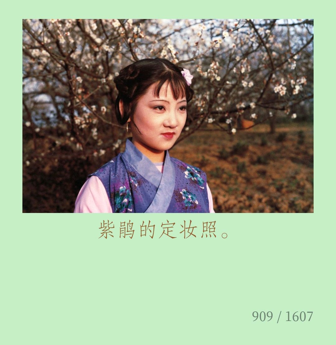 八七版电视剧《红楼梦》中紫鹃的扮演者徐丽霞