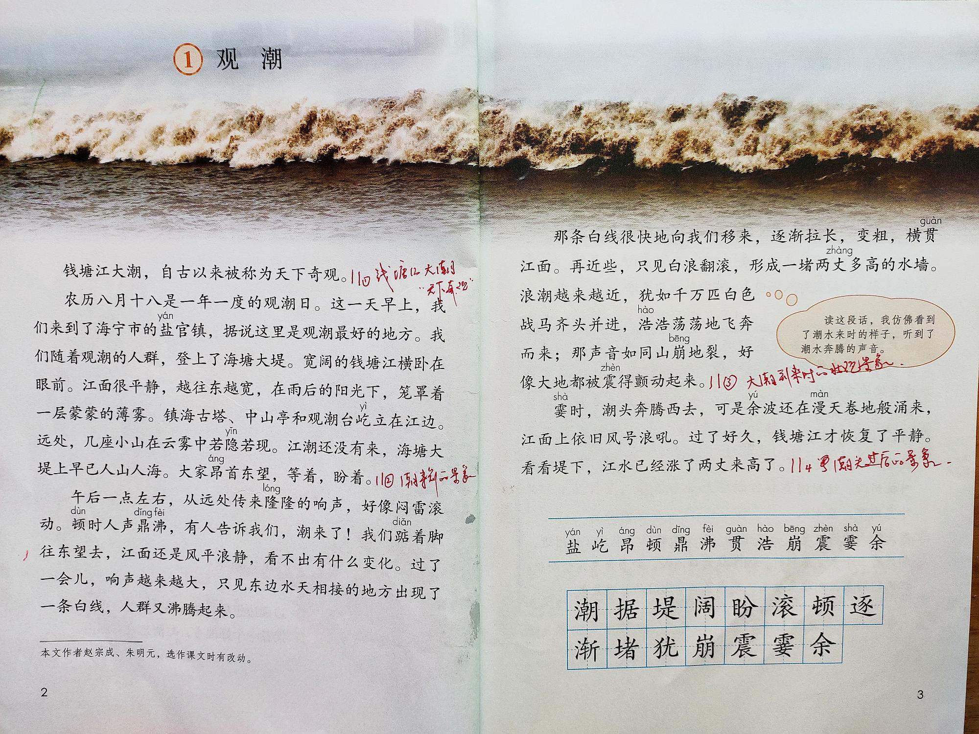 四年级语文第一课《观潮》,掌握这些知识要点,考试能得高分!