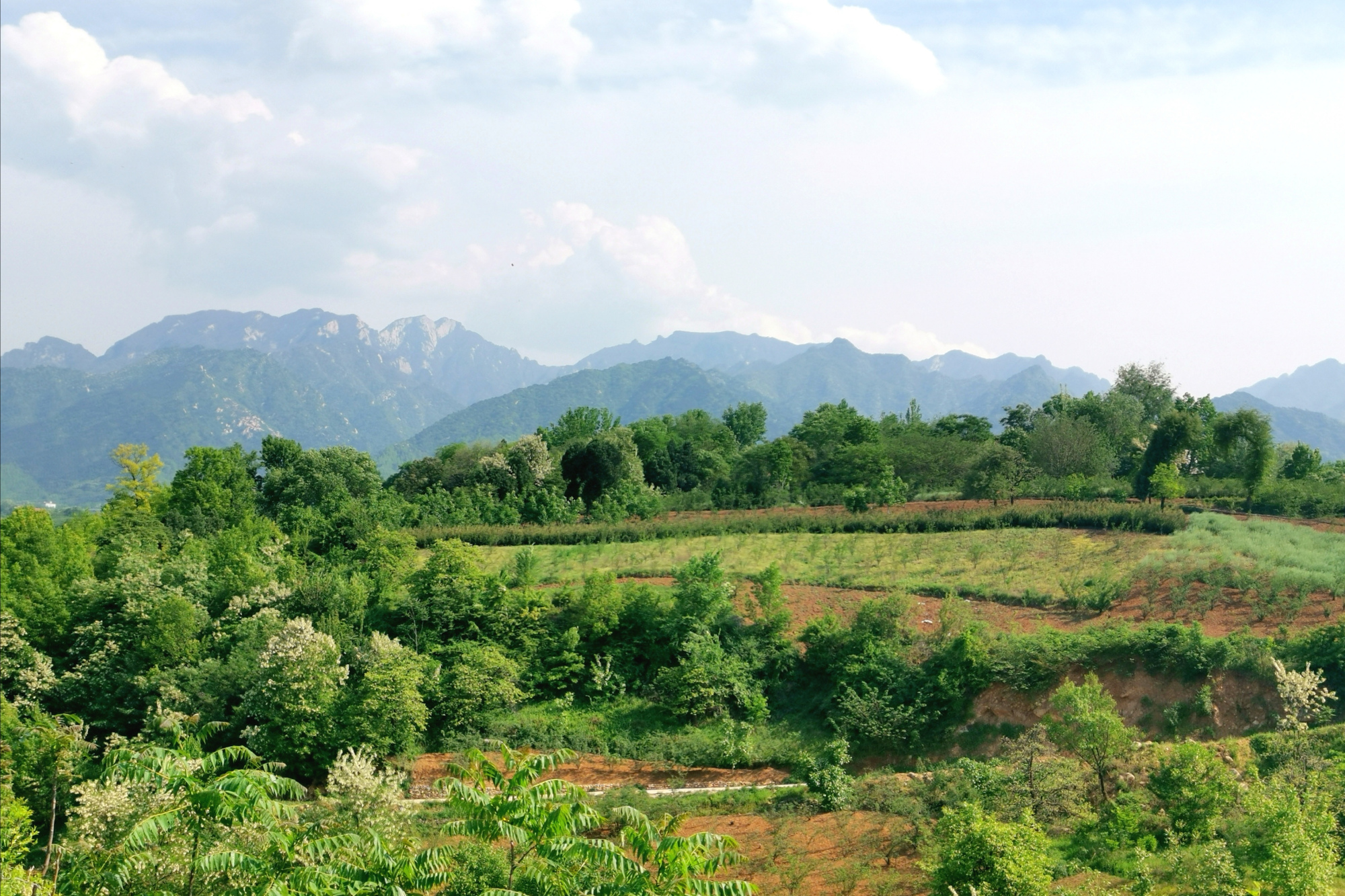 夏末九间房桐花沟,依偎秦岭的美丽乡村槐香四溢