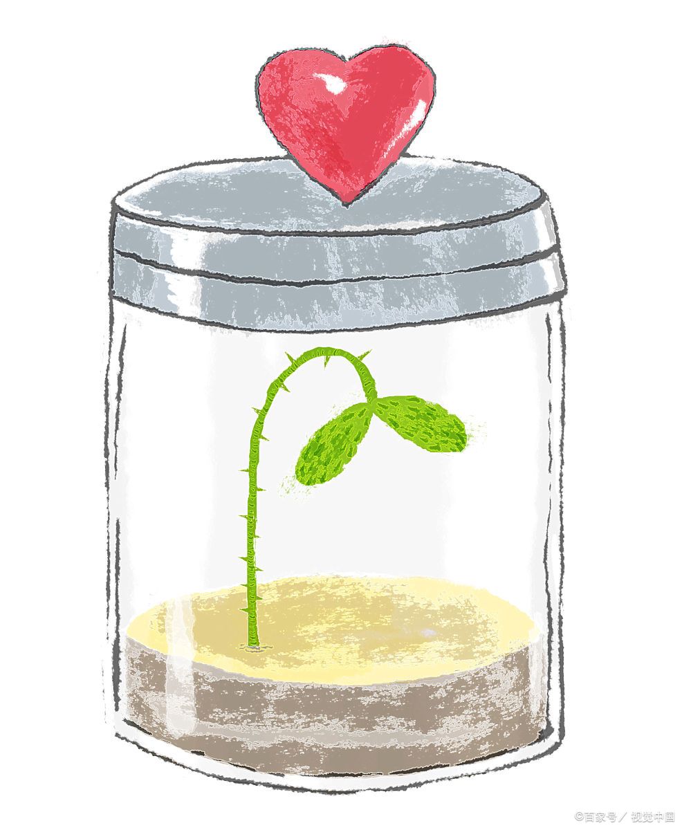 高中生谈恋爱是否正确？家长应深入挖掘孩子背后的情感需求