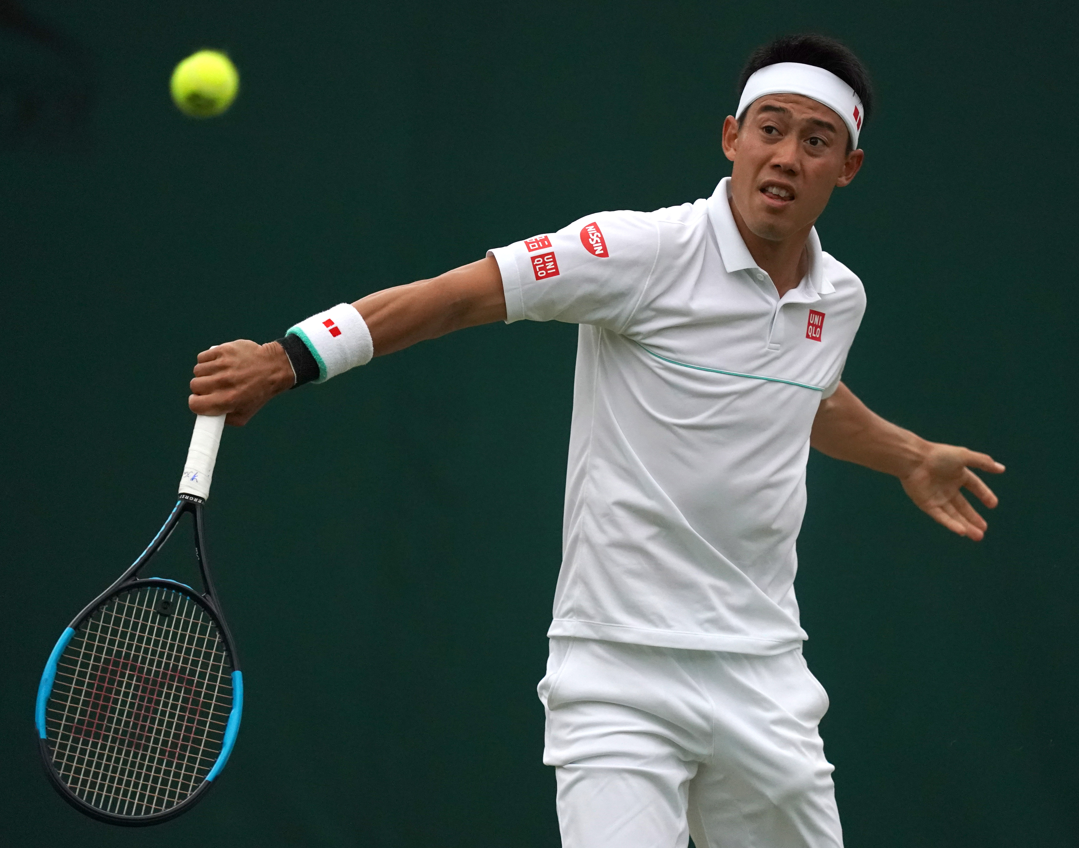 网球——温网:锦织圭晋级八强