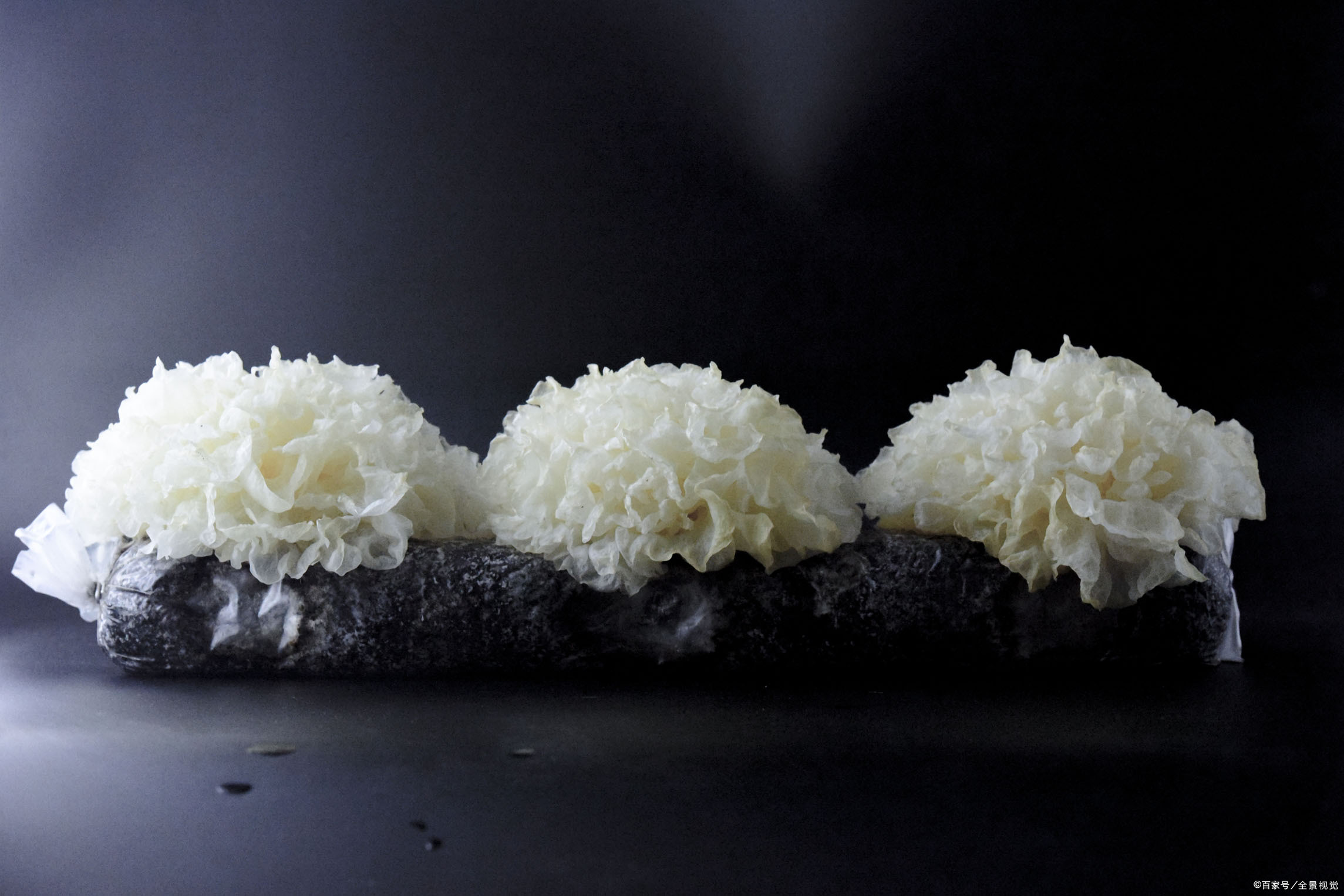 干银耳鲜银耳 - 2020年最新商品信息聚合专区 - 百度爱采购