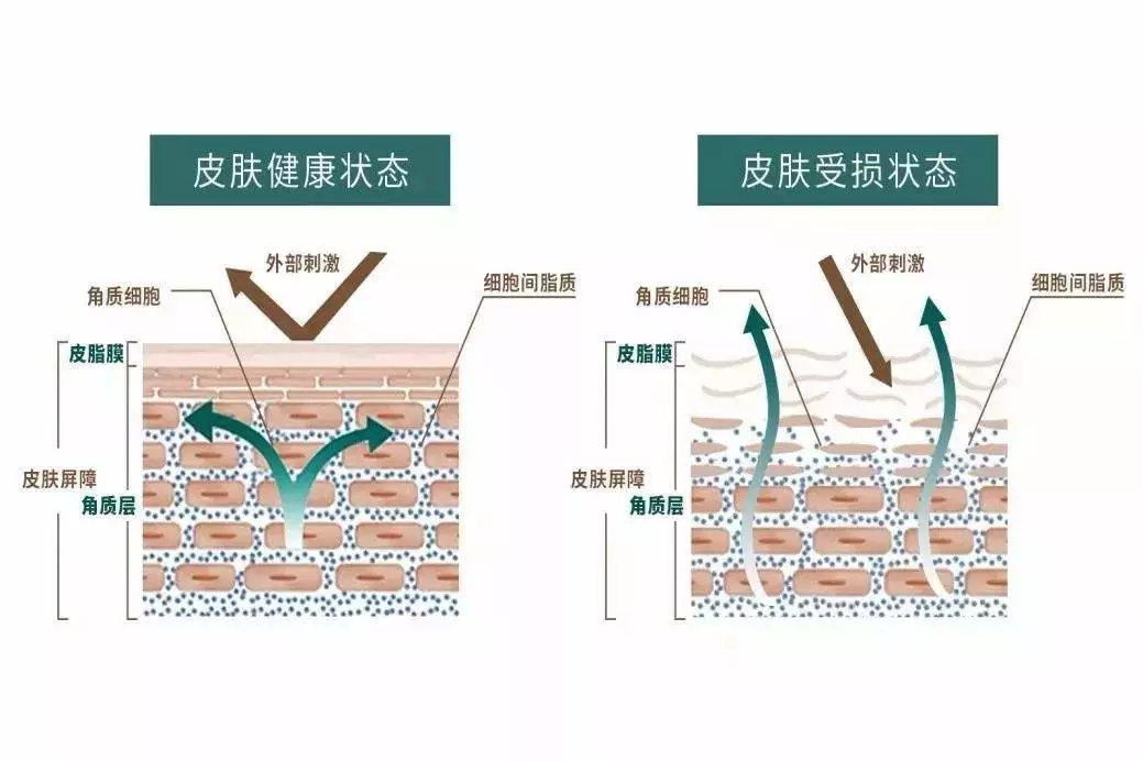 查看源图像