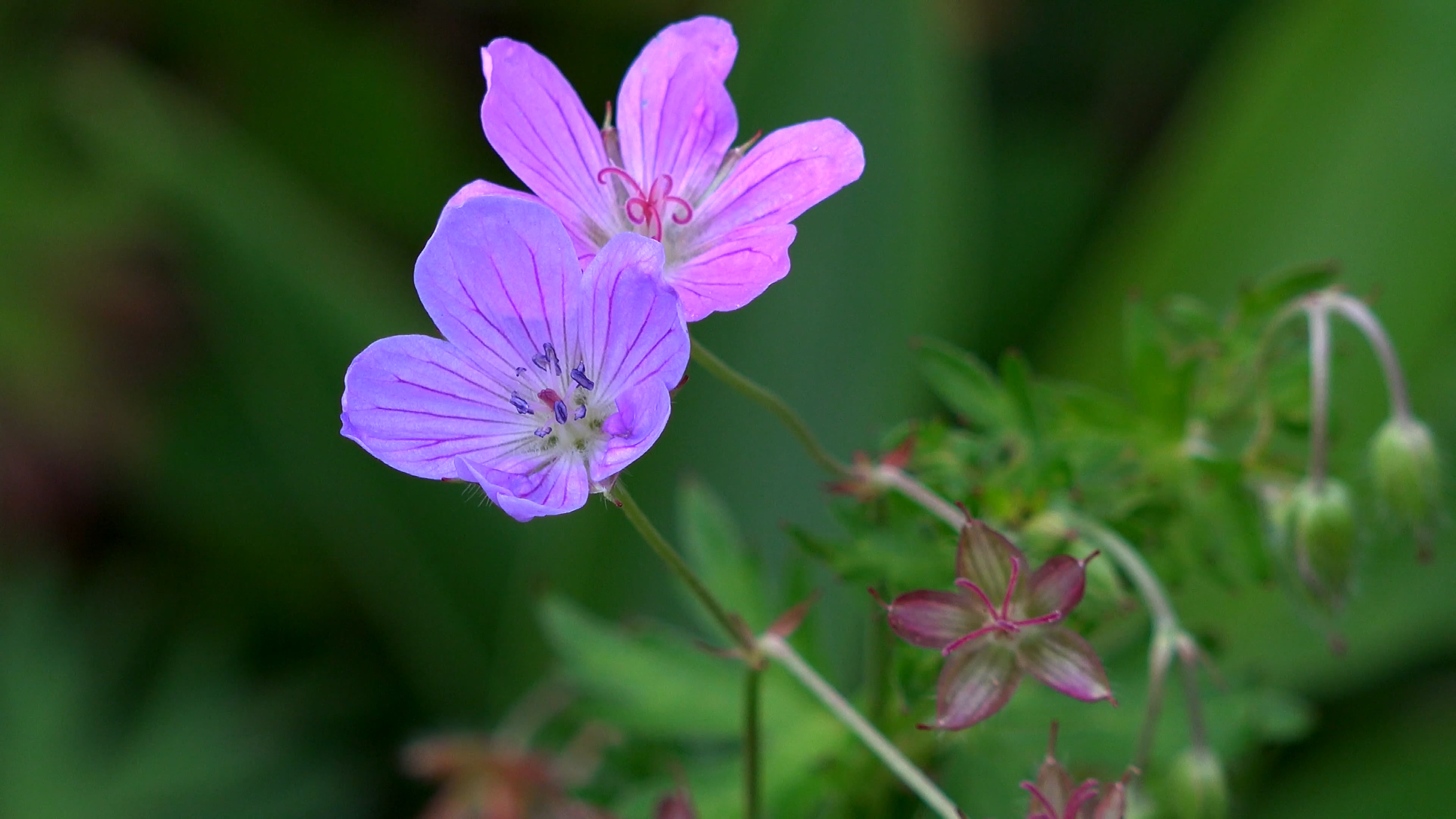 静态风景 第三期