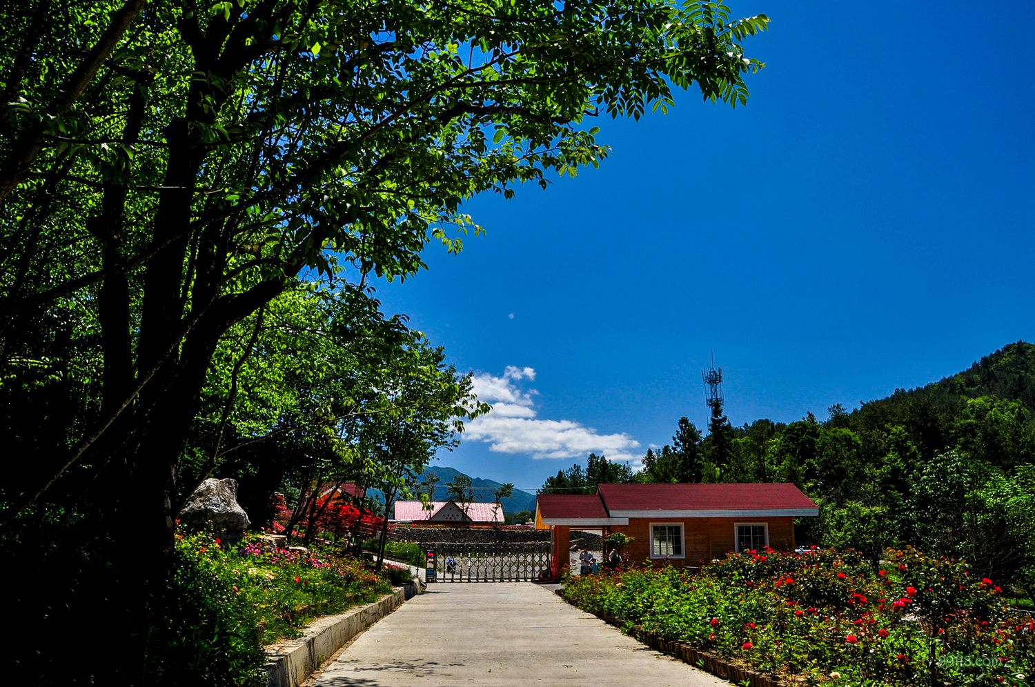 重庆景点:城口县九重花岭
