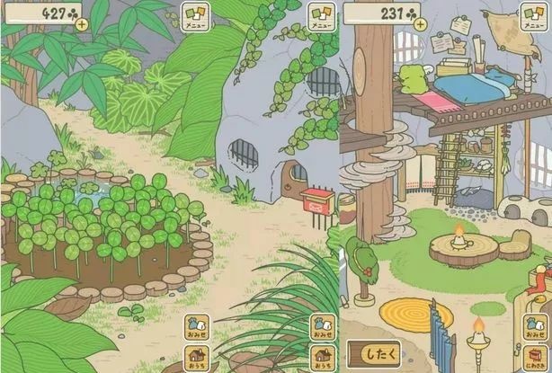 青蛙旅行,你家蛙出走的真正原因原来是这个