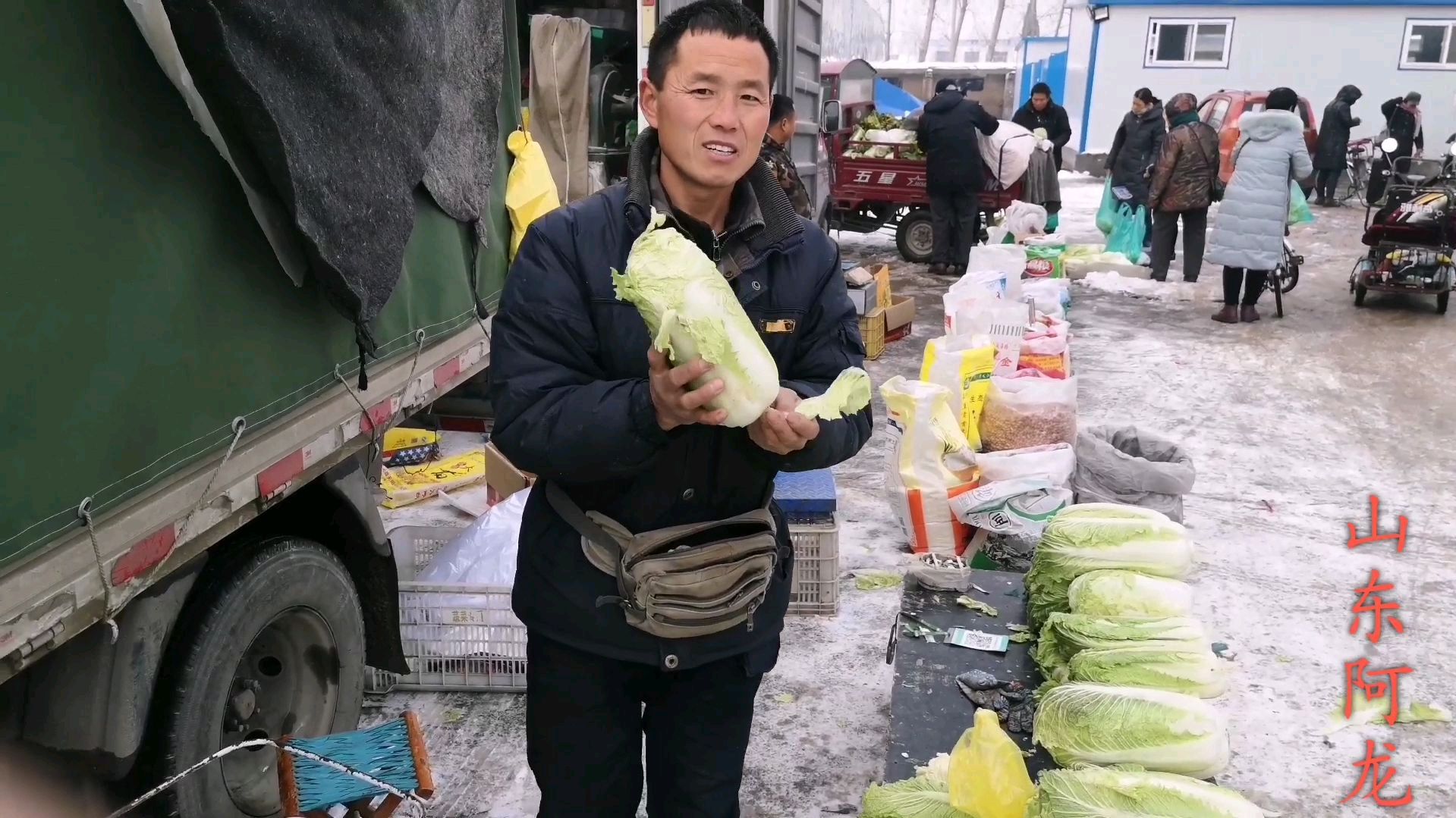 山东聊城白菜都一颗颗抢着买,看多少钱一斤?