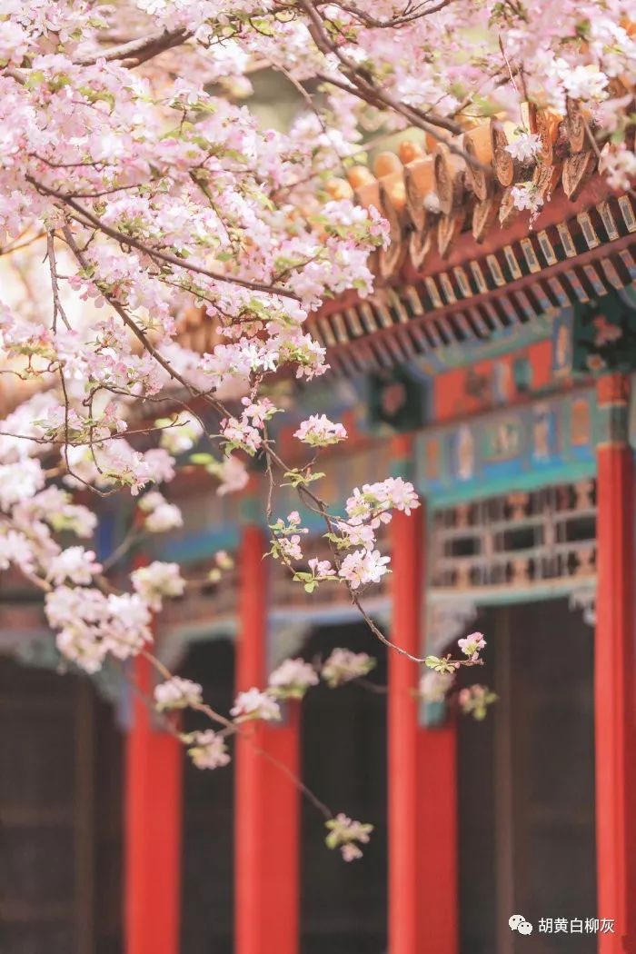 "烟魂,清风,碑子,碑王",详解「出马」堂营中的鬼仙