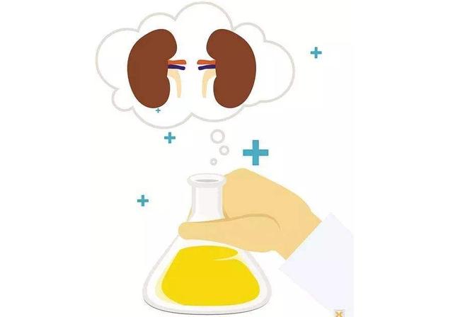 不用费心留尿,也能检查24小时尿蛋白