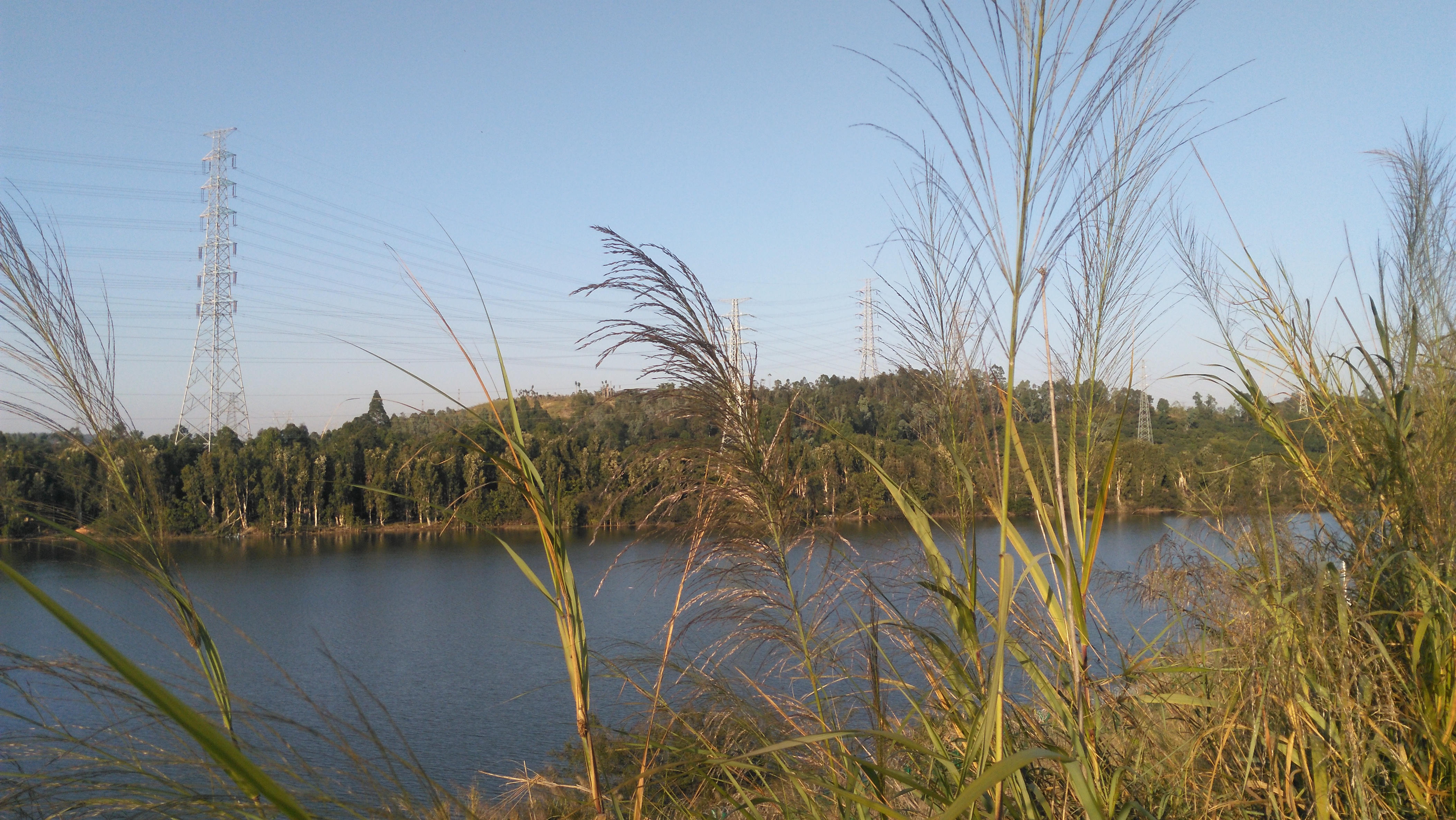 深圳坪山原来还藏着这样一个水库,名字叫三棵松