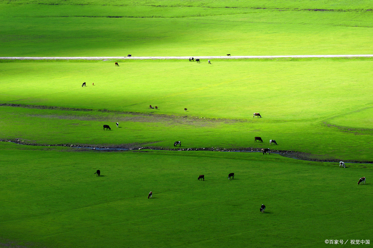 敕勒川草原旅游攻略,带你体验风吹草低见牛羊的美景