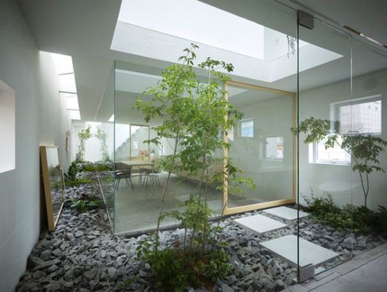天井景观合集:天井之美,在你的建筑里给植物留有一席之地