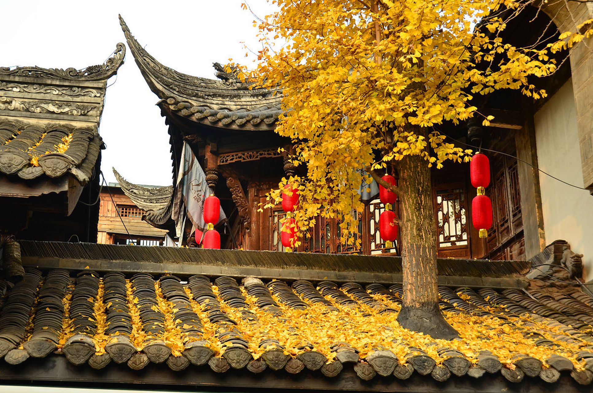 锦里是成都的一片世外桃源,秋天的锦里古街如诗如画,犹如一幅唯美的