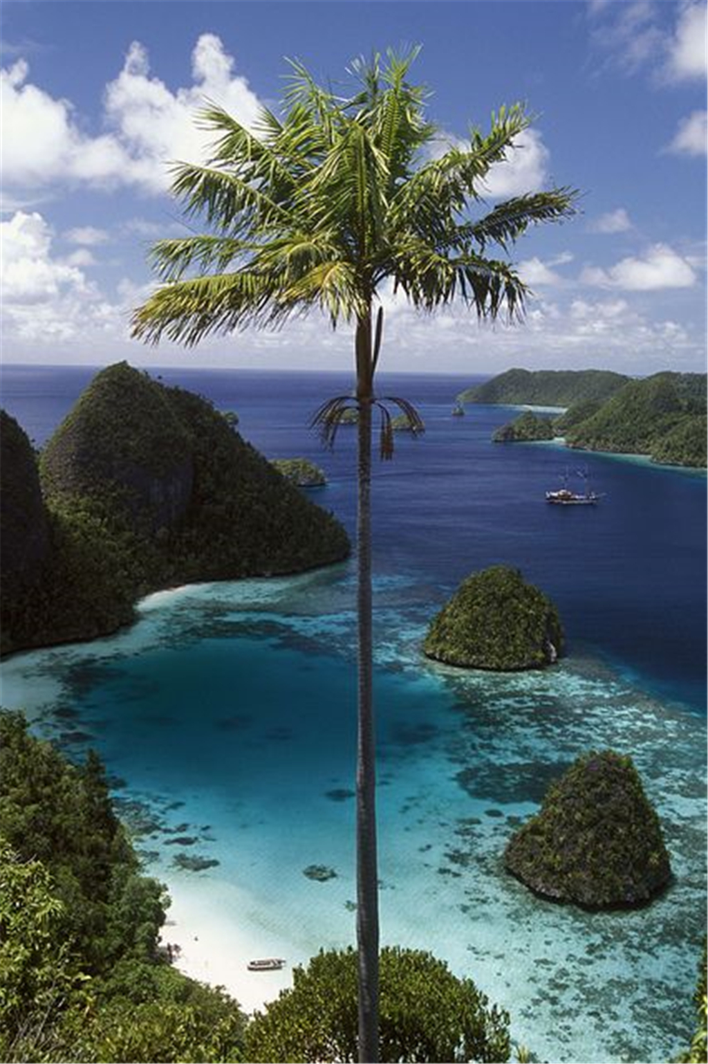 巴布亚新几内亚风景图片