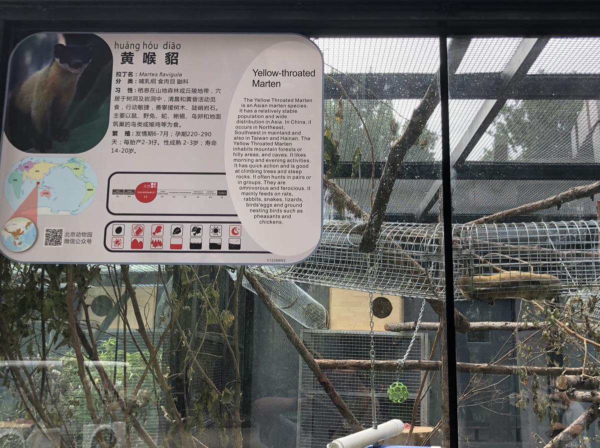 北京動物園動物說明牌上新了!增加了