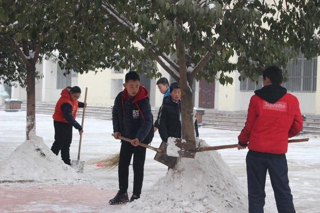 东平街道中学王村图片