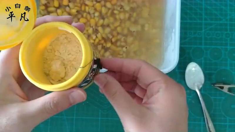 三分钟教你自己做雾化,猫咪早康复,比去医院更