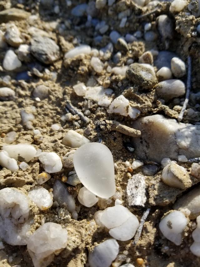 新疆戈壁滩捡到透明石头是什么?